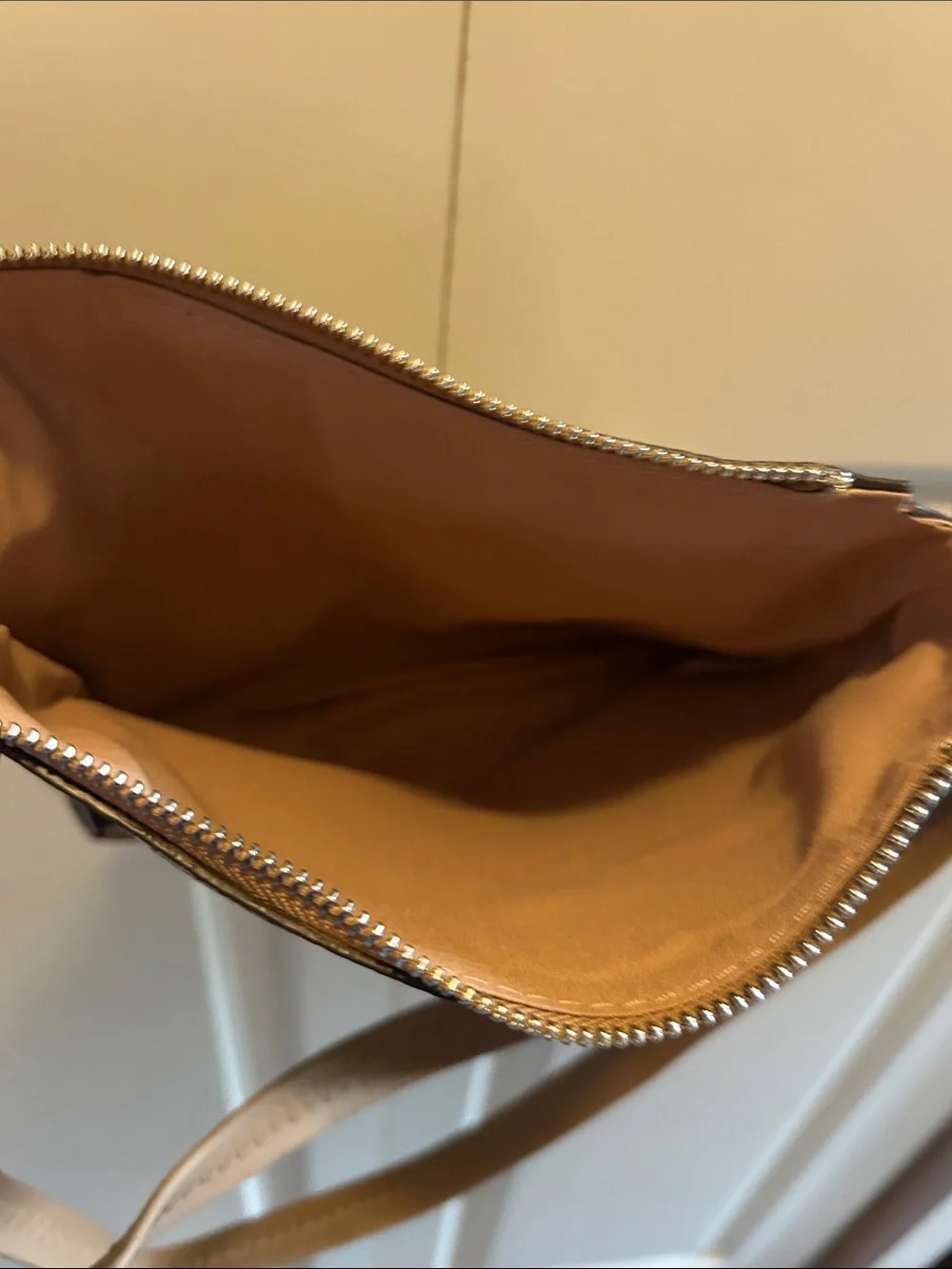 Snake-Print Crossbody Bag in Beige and Black